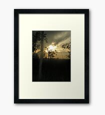 Mystery Framed Print