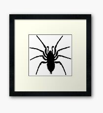 Black Spider Framed Print