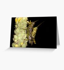 GET A ROOM!!! Greeting Card