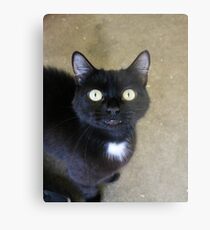 Winnie Metal Print
