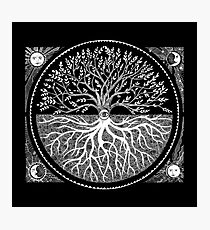 Druid Tree of LIfe Photographic Print