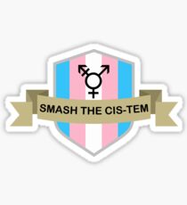 Smash the Cis-tem Sticker