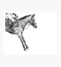 Gravity - Event Horse Photographic Print