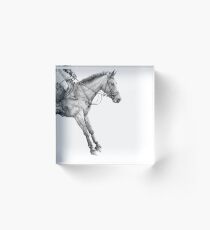 Gravity - Event Horse Acrylic Block