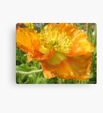Flora Canvas Print