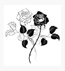 Two Roses ( Black and White ) Photographic Print