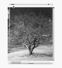 Winter Tree iPad Case/Skin