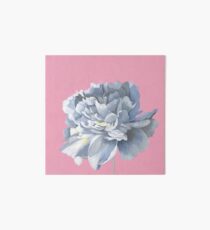 White Peony on Pastel Pink Art Board