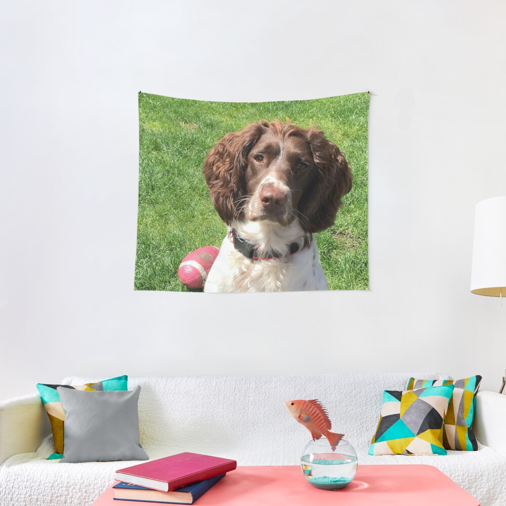 Dreamboat Tapestry