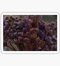 Dried flowers Sticker