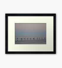Birds in a Row Framed Print