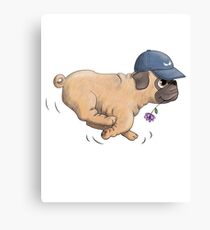 Cute pug running wearing a baseball cap Canvas Print