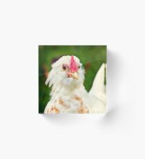 White Barbu d'Uccle bantam chicken Acrylic Block