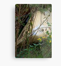 Hidden Treasure Metal Print