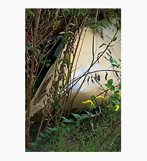 Hidden Treasure Photographic Print