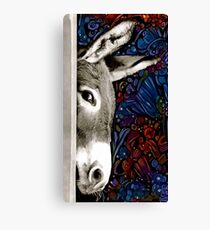 Donkey Canvas Print