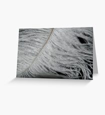 Feather Tips Greeting Card