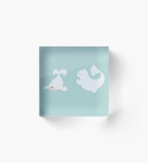 Seel Evolution Acrylic Block