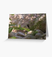 Leading Lines Greeting Card