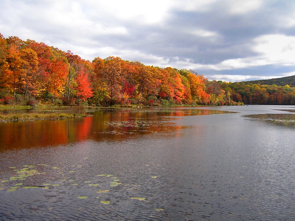 "Fall, Harriman State Park, New York" by fauselr Redbubble
