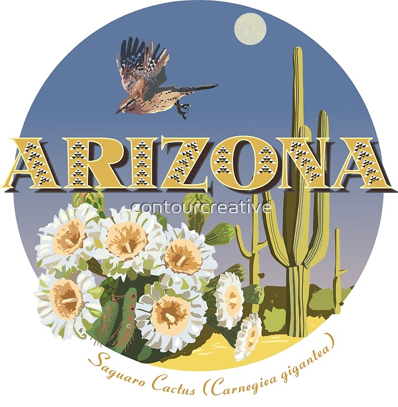 arizona state flower bird by contourcreative