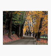 Bend in the Buffalo Road Photographic Print