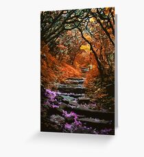 Into the woods Greeting Card