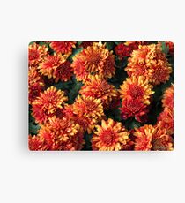 Orange Flowers Canvas Print