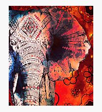 Indian Sketched Elephant Photographic Print