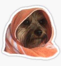 Murphy the Yorkie Sticker