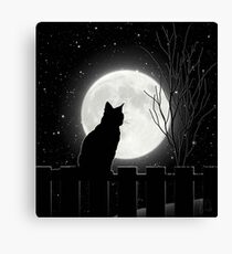 Silent night Cat looking at the full moon Canvas Print