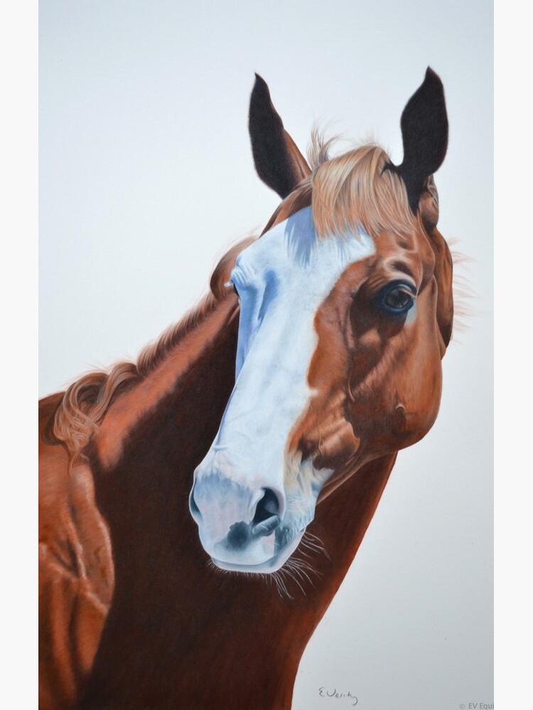 Apache Cat by evequineart