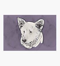Shepherd. Sketch drawing. Black contour on a purple grunge background. Photographic Print
