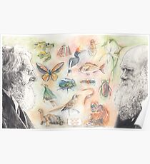The wildlife of Darwin and Wallace Poster