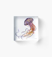 Jellyfish Acrylic Block
