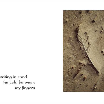 Artwork thumbnail, writing in sand by ronmoss
