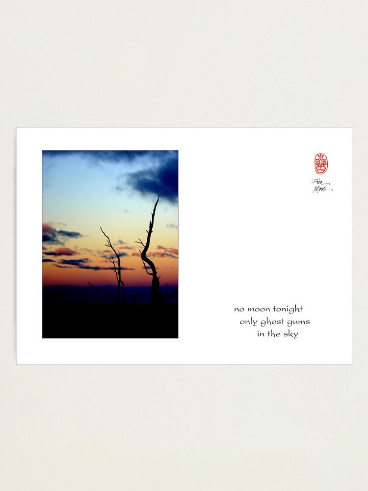 Alternate view of no moon Photographic Print