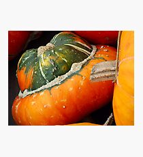 Pumpkins Photographic Print