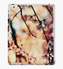 Enchanté iPad Case/Skin