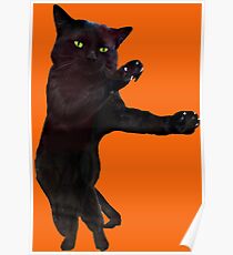 Halloween dancing black cat Poster