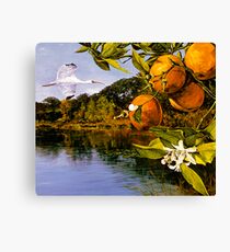 Valencia Morning Canvas Print