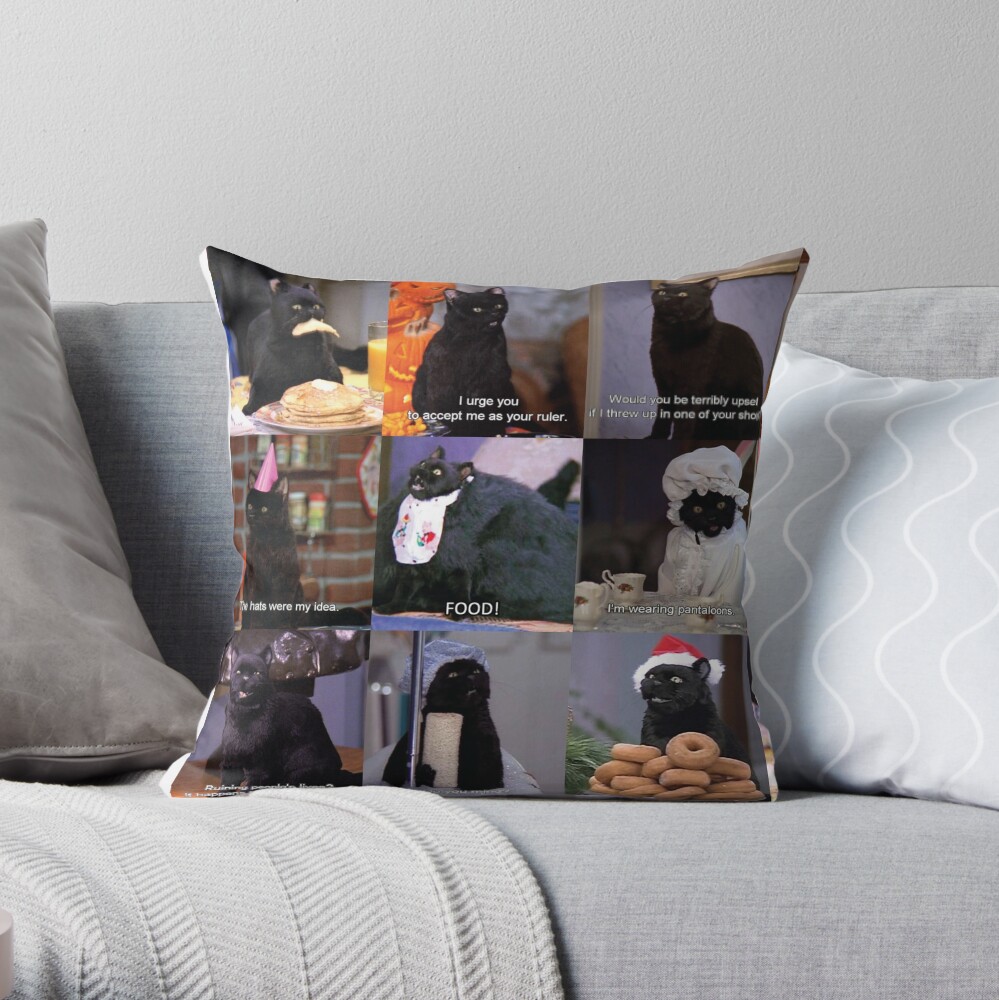 Musings of Salem Throw Pillow
