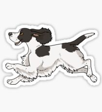 English cocker spaniel (black & white) Sticker
