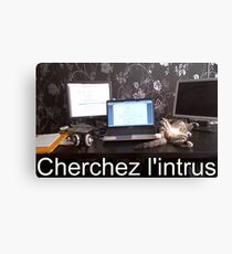 Lienzo Cherchez l'intrus