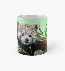 Red Panda in Mint Green Mug