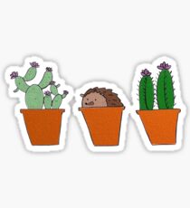 Hedgehog Succulent Sticker