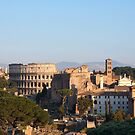 The Colosseum in Rome by Plichard Mickaël