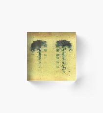 Nautilus reduziert Acrylblock