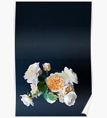 English roses Poster