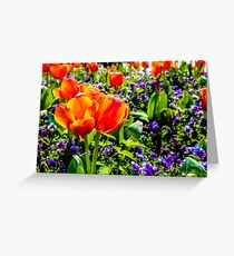 Fluro Tulips Greeting Card